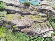 Terreno Rstico - Estreito Cmara de Lobos, Cmara de Lobos, Ilha da Madeira - Miniatura: 2/8