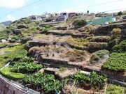 Terreno Rstico - Estreito Cmara de Lobos, Cmara de Lobos, Ilha da Madeira - Miniatura: 6/8