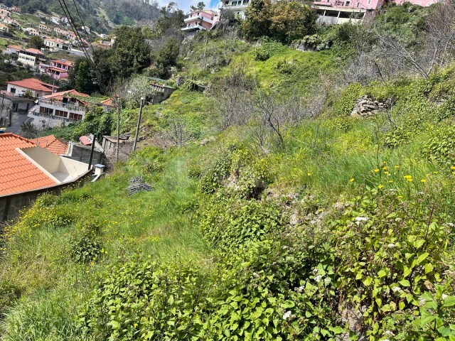 Terreno Rústico - Estreito Câmara de Lobos, Câmara de Lobos, Ilha da Madeira - Imagem grande
