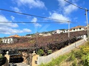 Terreno Rstico - Estreito Cmara de Lobos, Cmara de Lobos, Ilha da Madeira - Miniatura: 2/9