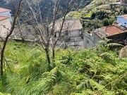 Terreno Rústico - Estreito Câmara de Lobos, Câmara de Lobos, Ilha da Madeira - Miniatura: 4/9