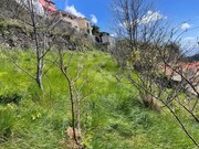 Terreno Rústico - Estreito Câmara de Lobos, Câmara de Lobos, Ilha da Madeira - Miniatura: 7/9