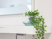 Apartamento T1 - So Martinho, Funchal, Ilha da Madeira - Miniatura: 7/9