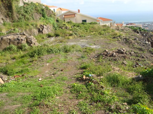 Terreno Rstico - Imaculado Corao Maria, Funchal, Ilha da Madeira - Imagem grande
