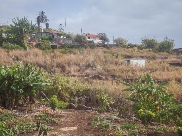 Terreno Rústico - Caniço, Santa Cruz, Ilha da Madeira - Imagem grande