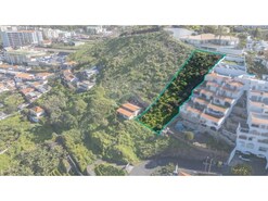 Terreno Rstico - So Martinho, Funchal, Ilha da Madeira