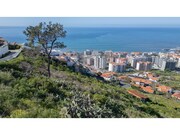 Terreno Rstico - So Martinho, Funchal, Ilha da Madeira - Miniatura: 2/9