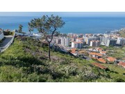 Terreno Rstico - So Martinho, Funchal, Ilha da Madeira - Miniatura: 3/9