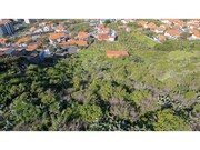 Terreno Rstico - So Martinho, Funchal, Ilha da Madeira - Miniatura: 4/9