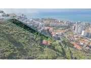 Terreno Rstico - So Martinho, Funchal, Ilha da Madeira - Miniatura: 5/9