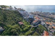 Terreno Rstico - So Martinho, Funchal, Ilha da Madeira - Miniatura: 7/9