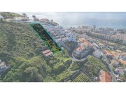 Terreno Rstico - So Martinho, Funchal, Ilha da Madeira - Miniatura: 9/9