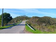 Terreno R�stico - Ortiga, Ma��o, Santar�m - Miniatura: 1/9