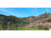 Terreno R�stico - Ortiga, Ma��o, Santar�m - Miniatura: 2/9