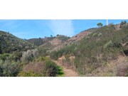 Terreno R�stico - Ortiga, Ma��o, Santar�m - Miniatura: 3/9
