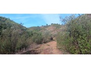 Terreno R�stico - Ortiga, Ma��o, Santar�m - Miniatura: 4/9