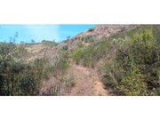 Terreno R�stico - Ortiga, Ma��o, Santar�m - Miniatura: 6/9