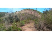 Terreno R�stico - Ortiga, Ma��o, Santar�m - Miniatura: 7/9