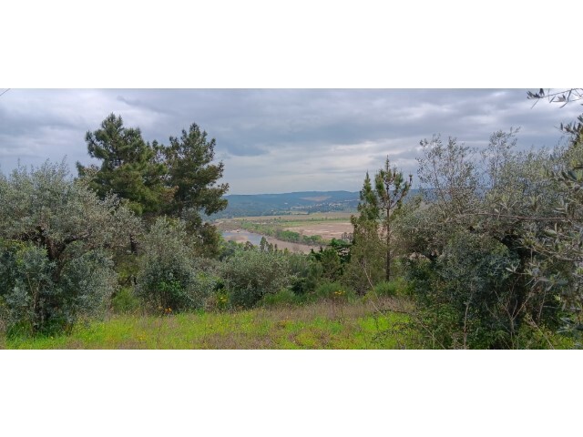 Terreno R�stico - Ortiga, Ma��o, Santar�m - Imagem grande