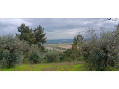 Terreno R�stico - Ortiga, Ma��o, Santar�m