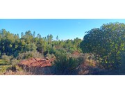 Moradia T2 - Carvoeiro, Mação, Santarém - Miniatura: 6/9