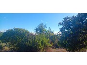 Moradia T2 - Carvoeiro, Mação, Santarém - Miniatura: 7/9