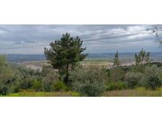 Terreno R�stico - Ortiga, Ma��o, Santar�m - Miniatura: 1/9