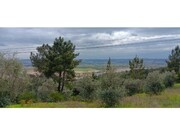 Terreno R�stico - Ortiga, Ma��o, Santar�m - Miniatura: 2/9