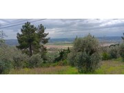 Terreno R�stico - Ortiga, Ma��o, Santar�m - Miniatura: 3/9