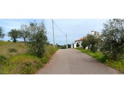 Terreno R�stico - Ortiga, Ma��o, Santar�m - Miniatura: 4/9