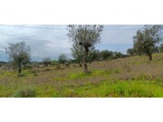 Terreno R�stico - Ortiga, Ma��o, Santar�m - Miniatura: 5/9