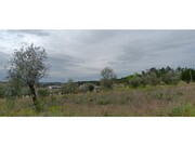 Terreno R�stico - Ortiga, Ma��o, Santar�m - Miniatura: 6/9