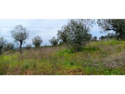Terreno R�stico - Ortiga, Ma��o, Santar�m - Miniatura: 7/9