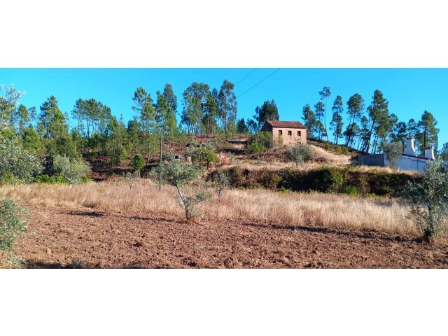 Terreno R�stico - Ma��o, Ma��o, Santar�m - Imagem grande