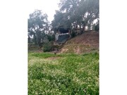 Outros - Ma��o, Ma��o, Santar�m - Miniatura: 3/9