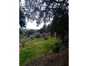 Outros - Ma��o, Ma��o, Santar�m - Miniatura: 5/9