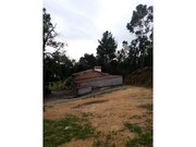 Outros - Ma��o, Ma��o, Santar�m - Miniatura: 6/9