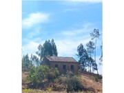 Terreno R�stico - Ma��o, Ma��o, Santar�m - Miniatura: 1/9
