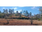 Terreno R�stico - Ma��o, Ma��o, Santar�m - Miniatura: 2/9