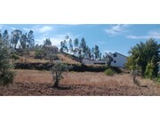 Terreno R�stico - Ma��o, Ma��o, Santar�m - Miniatura: 3/9