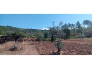 Terreno R�stico - Ma��o, Ma��o, Santar�m - Miniatura: 4/9