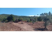 Terreno R�stico - Ma��o, Ma��o, Santar�m - Miniatura: 5/9
