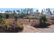 Terreno R�stico - Ma��o, Ma��o, Santar�m - Miniatura: 6/9