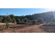 Terreno R�stico - Ma��o, Ma��o, Santar�m - Miniatura: 8/9