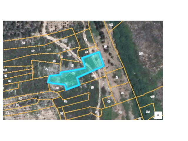 Terreno R�stico - Ma��o, Ma��o, Santar�m - Imagem grande