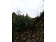 Terreno R�stico - Belver, Gavi�o, Portalegre - Miniatura: 2/9