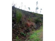 Terreno R�stico - Belver, Gavi�o, Portalegre - Miniatura: 3/9