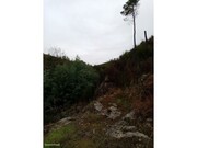 Terreno R�stico - Belver, Gavi�o, Portalegre - Miniatura: 4/9