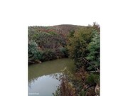 Terreno R�stico - Belver, Gavi�o, Portalegre - Miniatura: 6/9