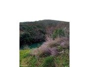 Terreno R�stico - Belver, Gavi�o, Portalegre - Miniatura: 9/9